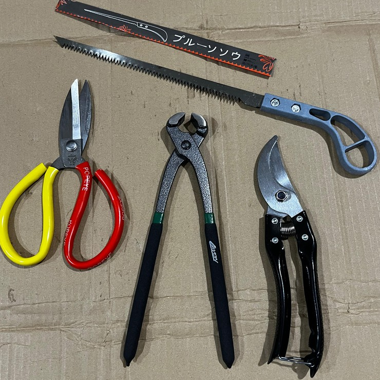 Paket Alat Bonsai Satu Set Tinggal Pakai Catok Modifikasi Tajam Gergaji Gunting Dahan Ranting Guntin