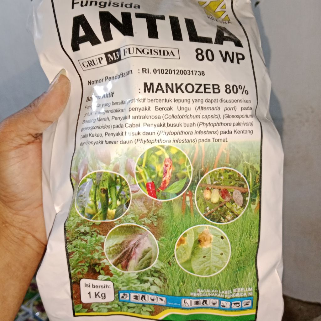 ANTILA 80 WP 1 KG