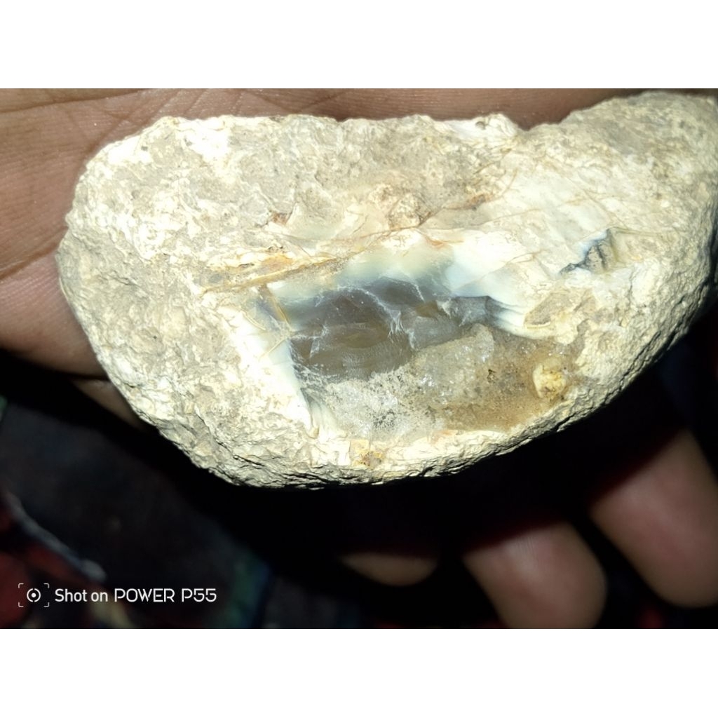 bahan cincin anggur Waykanan