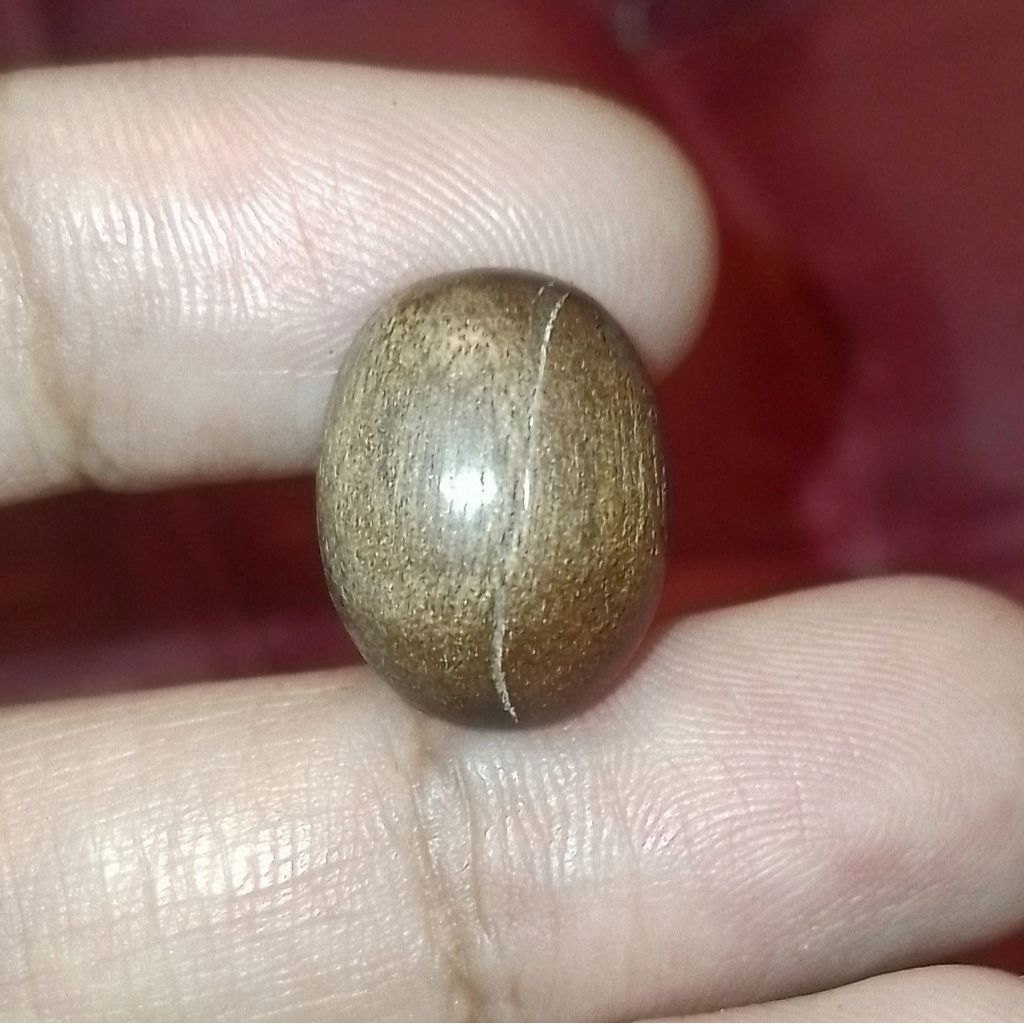 Batu Akik Langka Fosil Galih Asem Cokelat Asli Natural