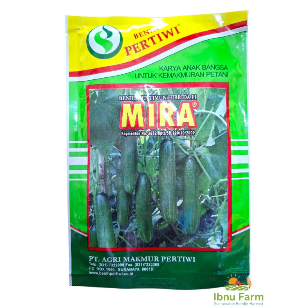 Benih Bibit Timun Hibrida MIRA F1 25 gram Mentimun Hibrida 25gr Timun Mira 25gr Dari Benih Pertiwi