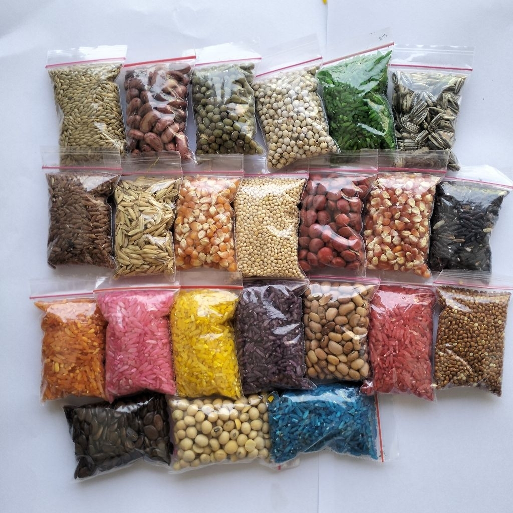 KOLASE BIJI BIJIAN | BAHAN KETRAMPILAN | BAHAN UNTUK KOLASE | KETRAMPILAN KOLASE | PAKET BIJI BIJIAN