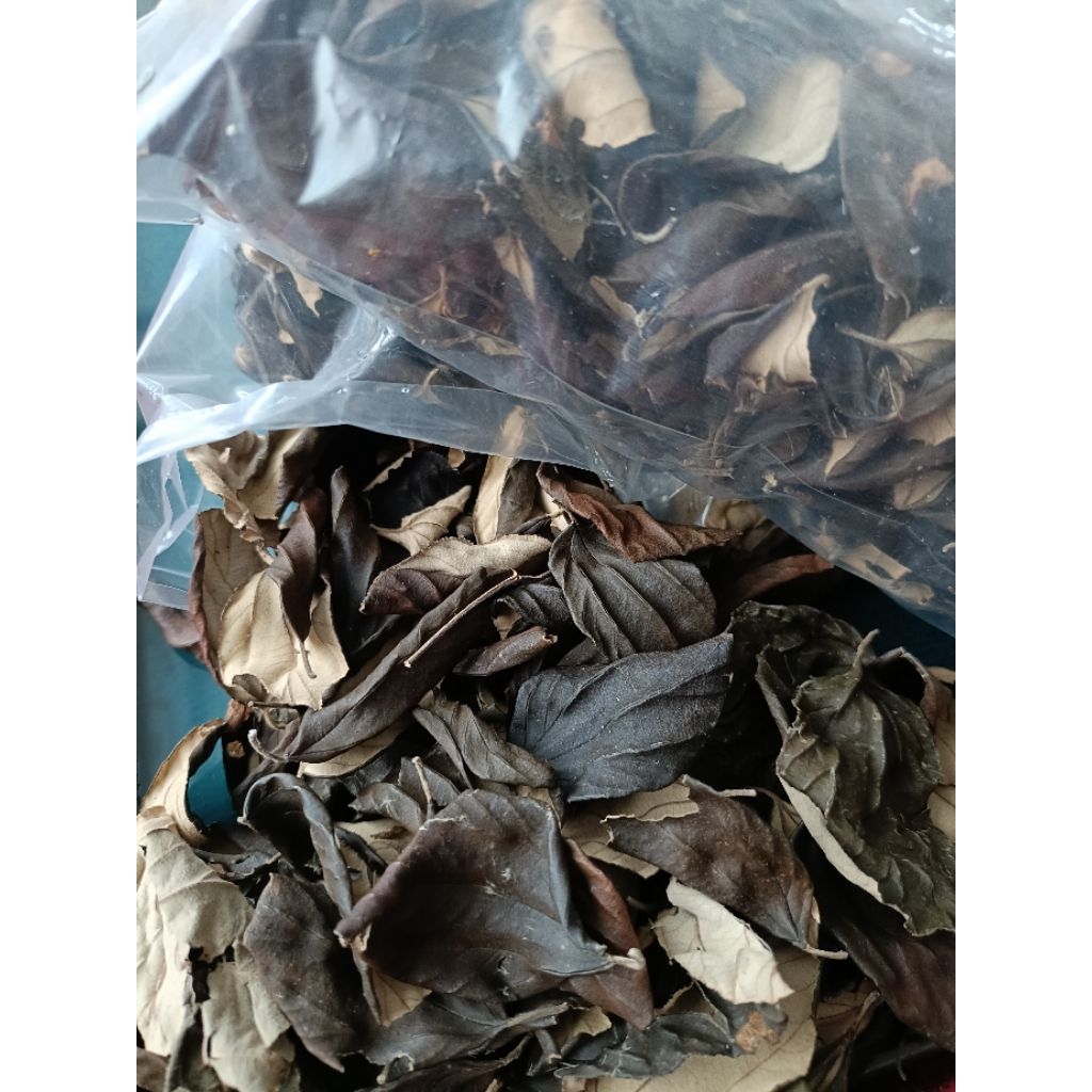 Daun Bidara Arab Kering