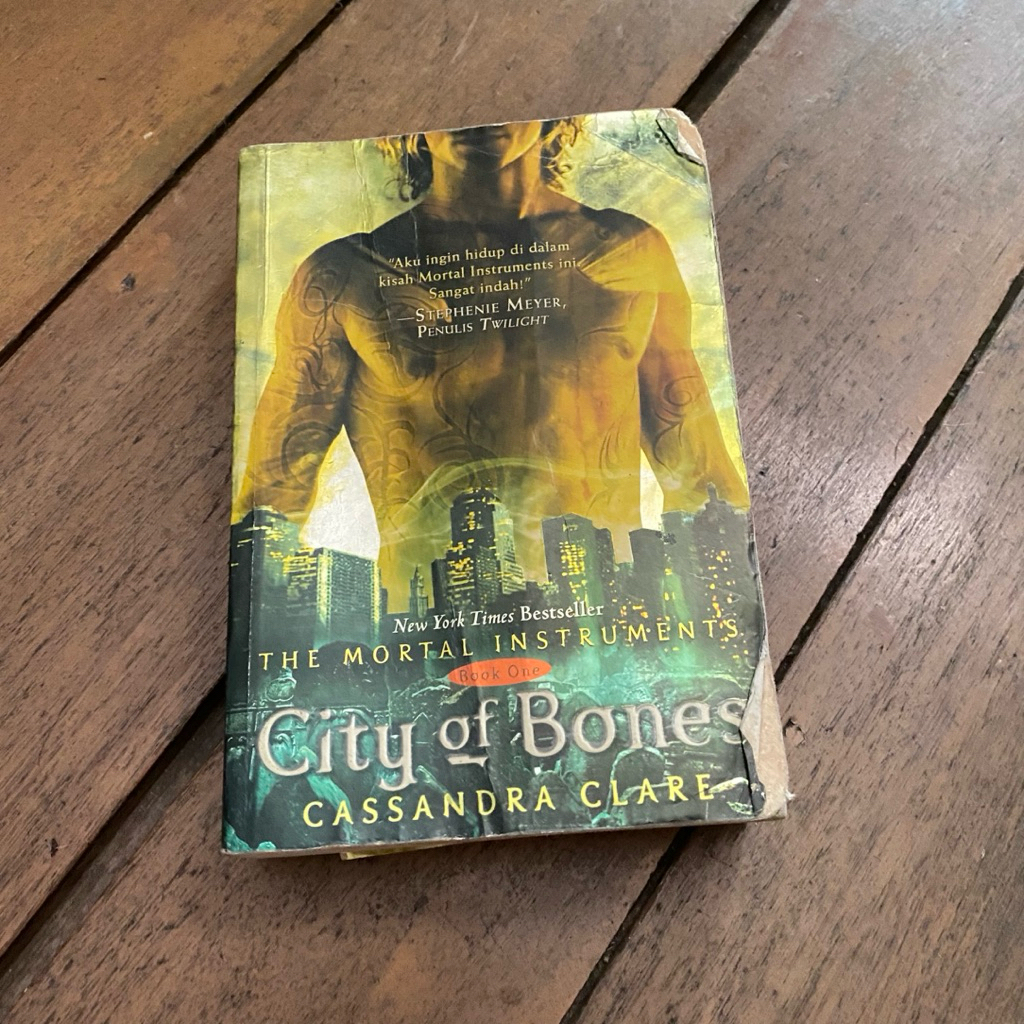 the mortal instrument city of bones book one