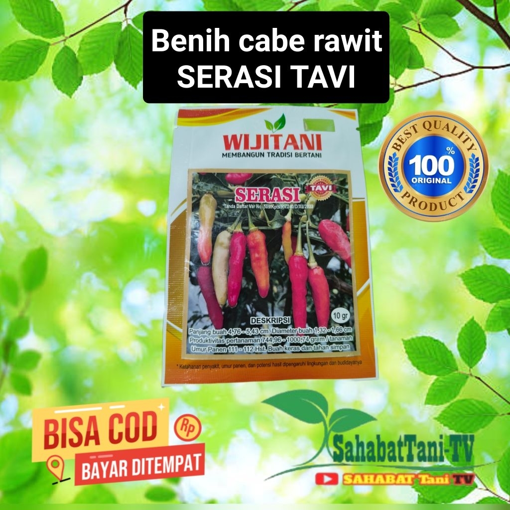 BENIH CABE RAWIT SERASI TAVI 10GR Benih terbaik kualitas super buah sama dengan oertavi lebat dan be