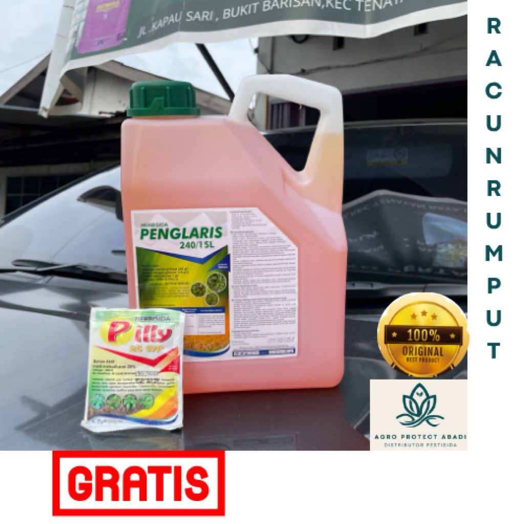 Herbisida PENGLARIS 240/ 1SL @ 5 liter | pembasmi / RACUN Rumput dan Gulma SAMPAI AKAR ,gratis metil