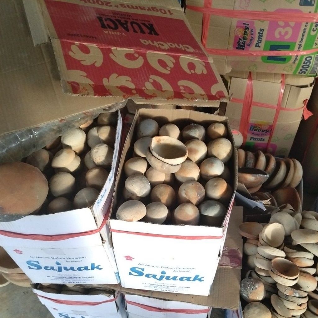 +500pcs/no1/6cm/kowi padang