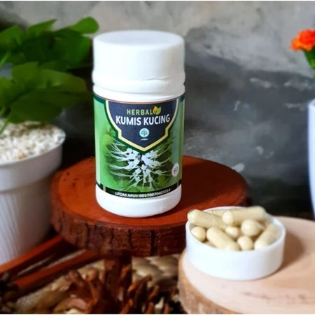 Kumis kucing Herbal batu Ginjal