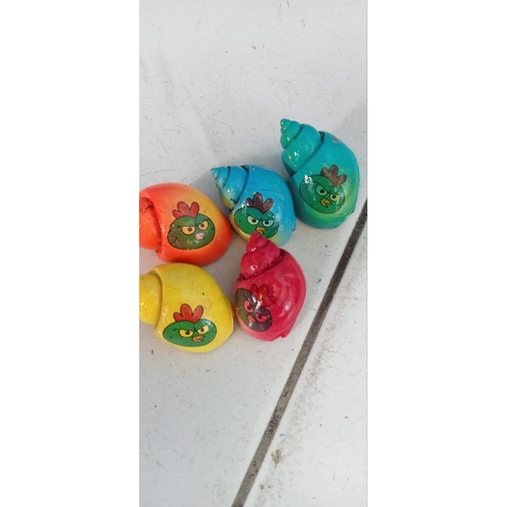 Kelomang/Keong Hidup 5 pcs