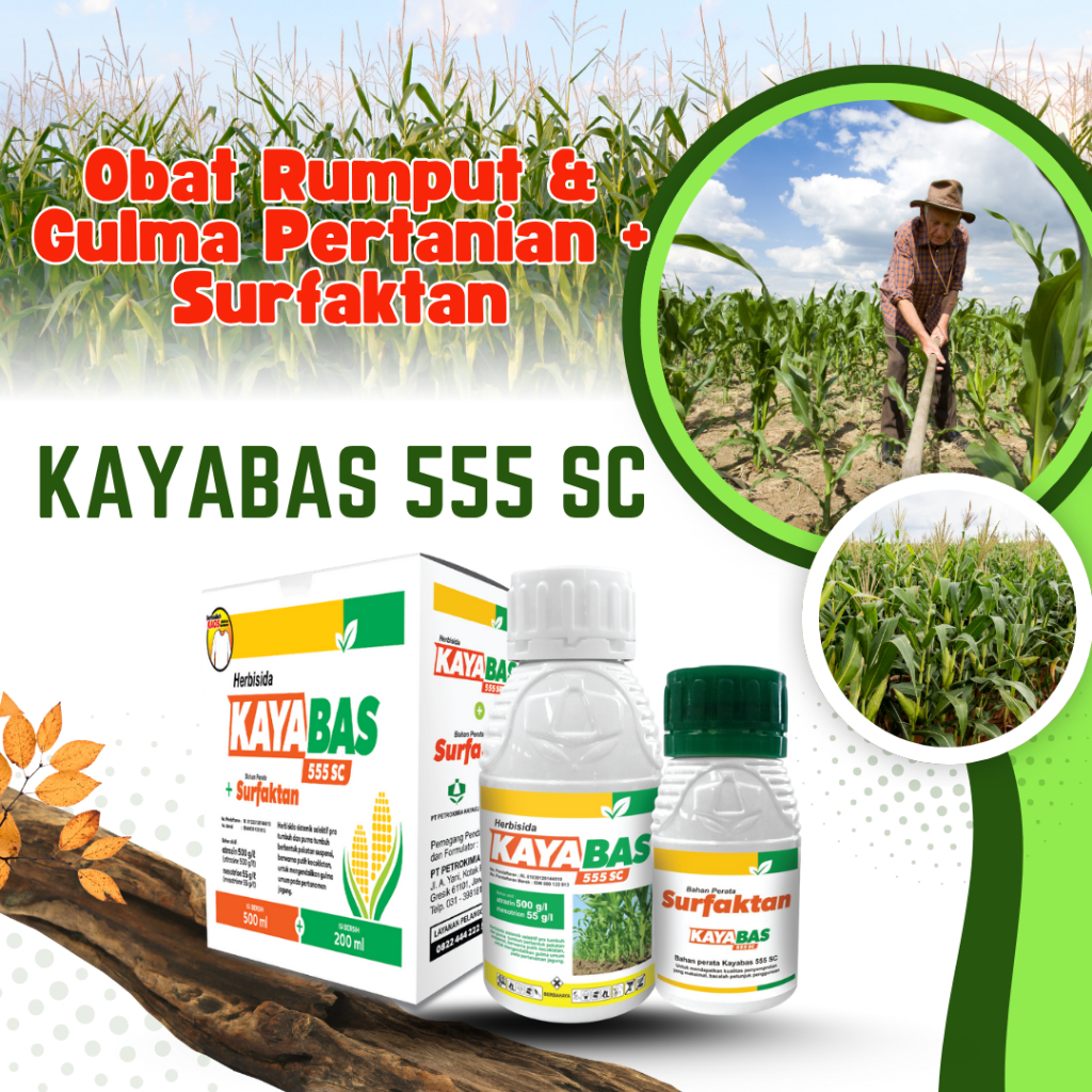 Kayabas 555 SC– Herbisida Jagung Obat Rumput & Gulma Atrazin Mesotrion + Surfaktan anti gulma jagung