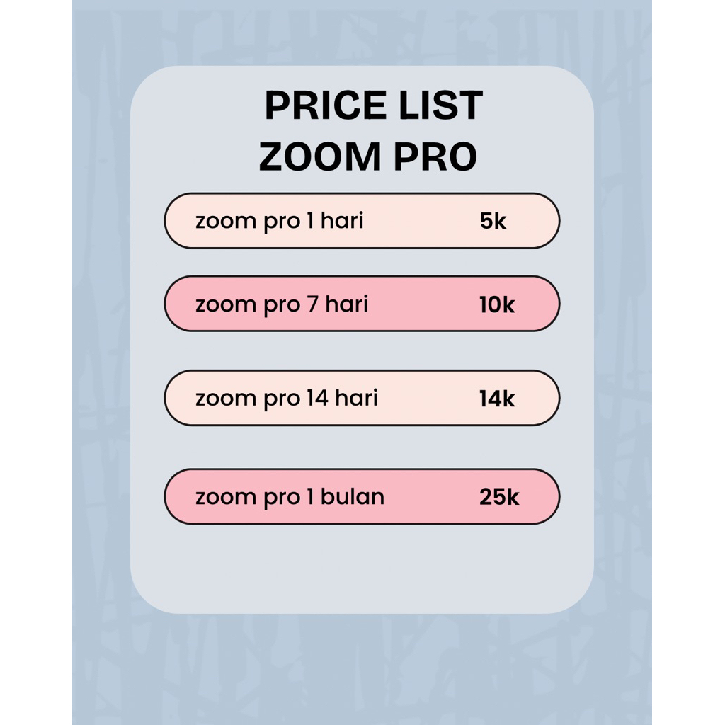 ZOOM PRO PREMIUM