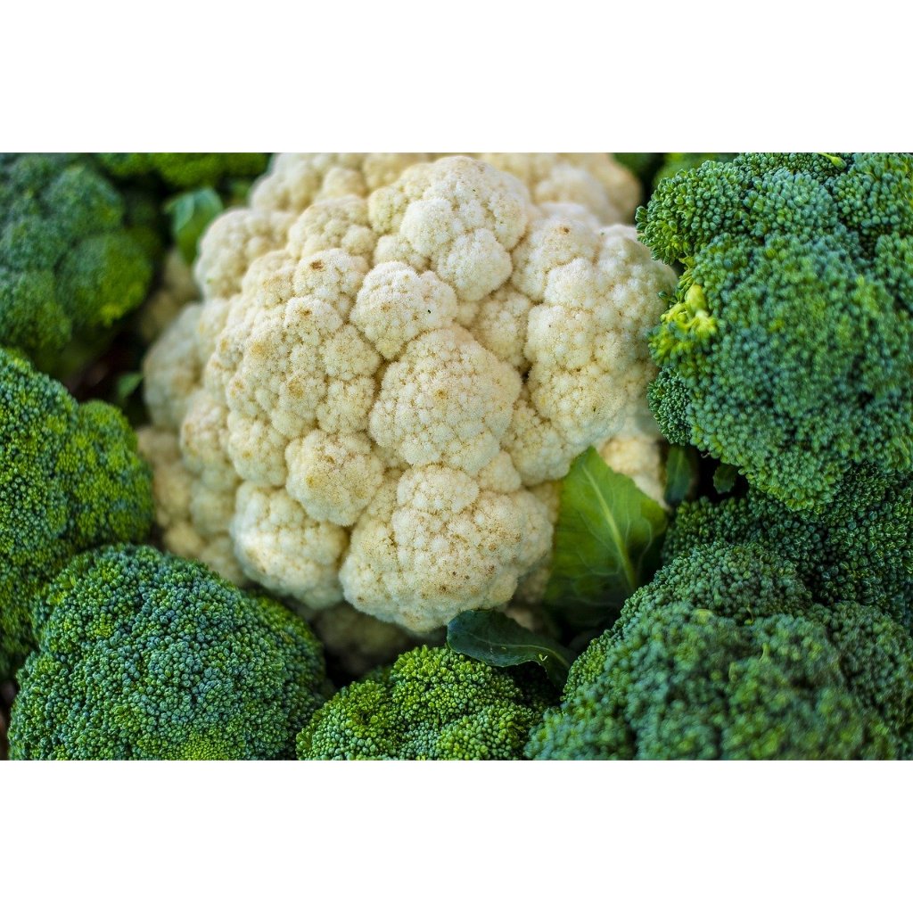 SAYUR BROKOLI / SAYURAN KEMBANG KOL / BROKOLI HIJAU/ BROKLI PUTIH