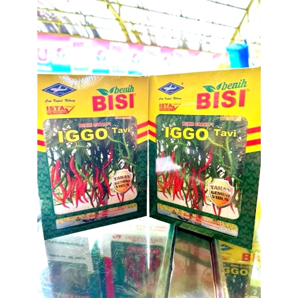 IGGO tavi F1 isi 10 gr( benih cabe keriting)