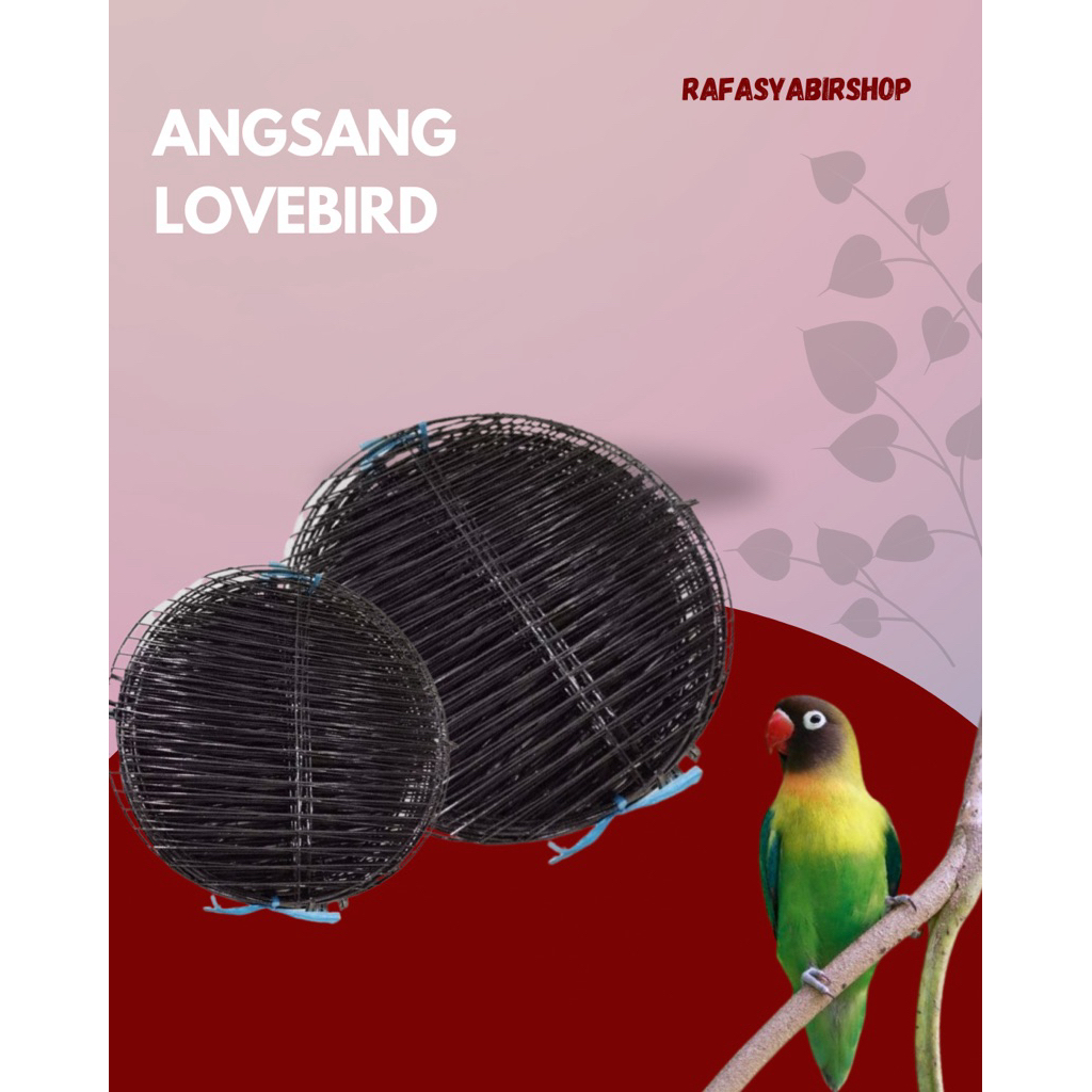 ANGSANG LOVEBIRD TATAKAN BESI SANGKAR