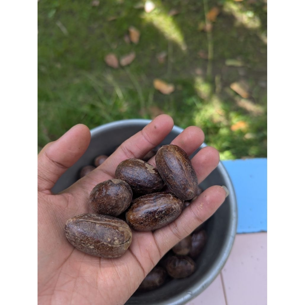 biji pala lonjong 1kg