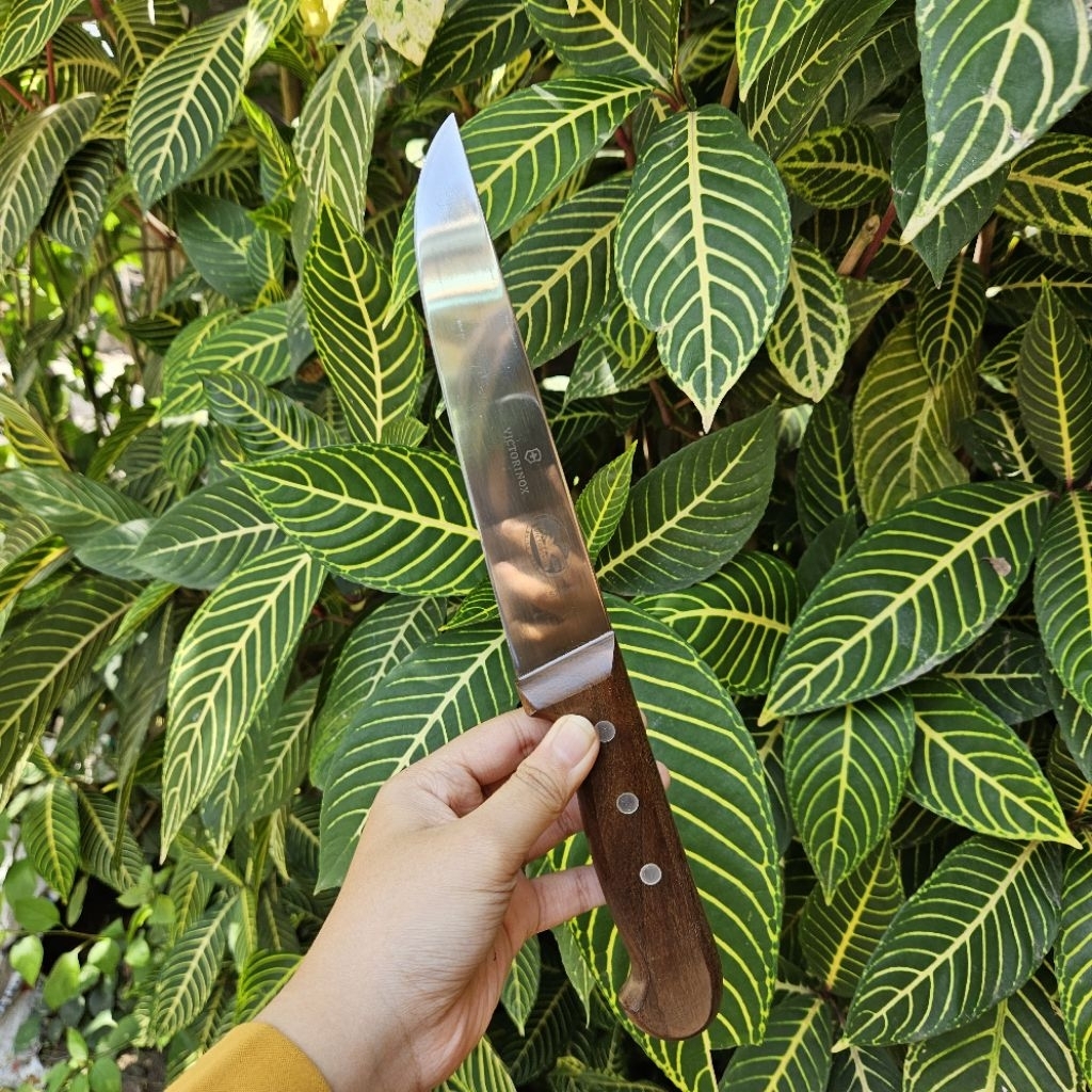 Victorinox Rosewood 18cm Original