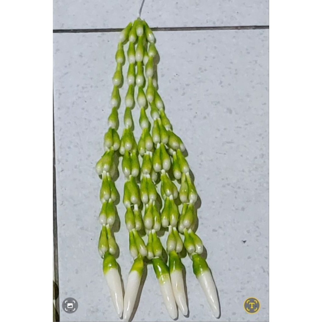 melati sintingan pendek