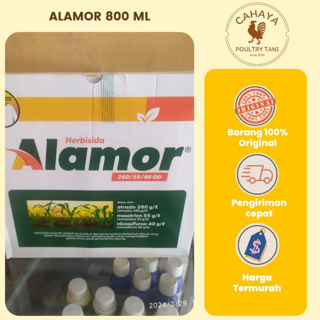 ALAMOR 260/55/40 OD 800 ML, Herbisida Selektif Jagung
