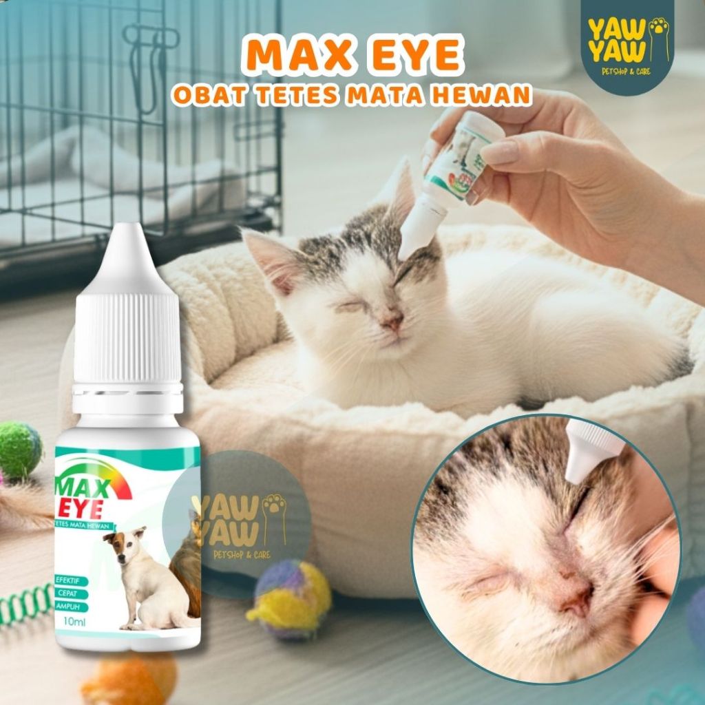Obat Mata Kucing 10 Ml Max eye Obat Tetes Mata Kucing Belekan dan Berair Ampuh 10ml