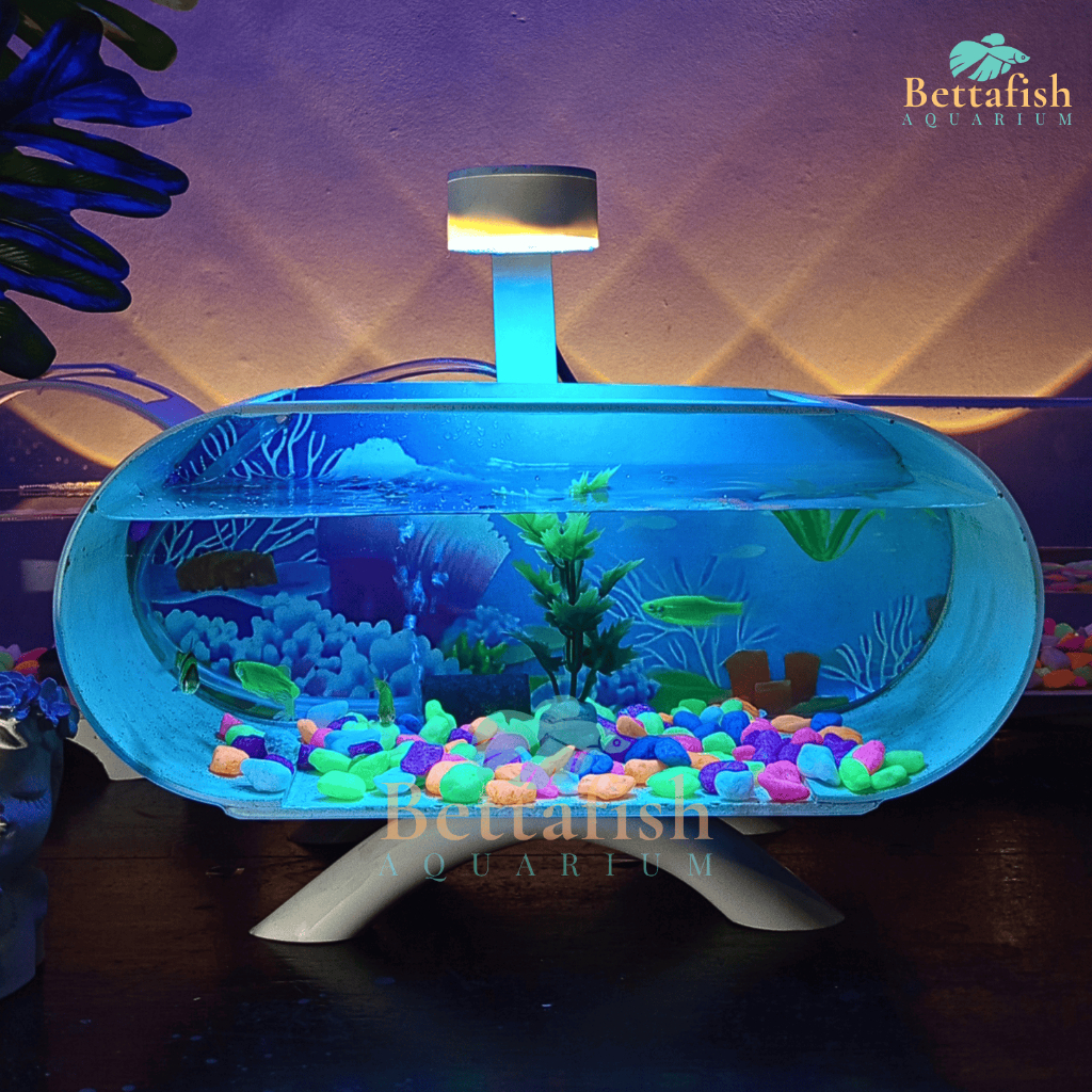 Betta Fish Aquarium 1 Set lengkap Aquarium Ikan Guppy Cupang Glowfish mini Lengkap Mesin Gelembung