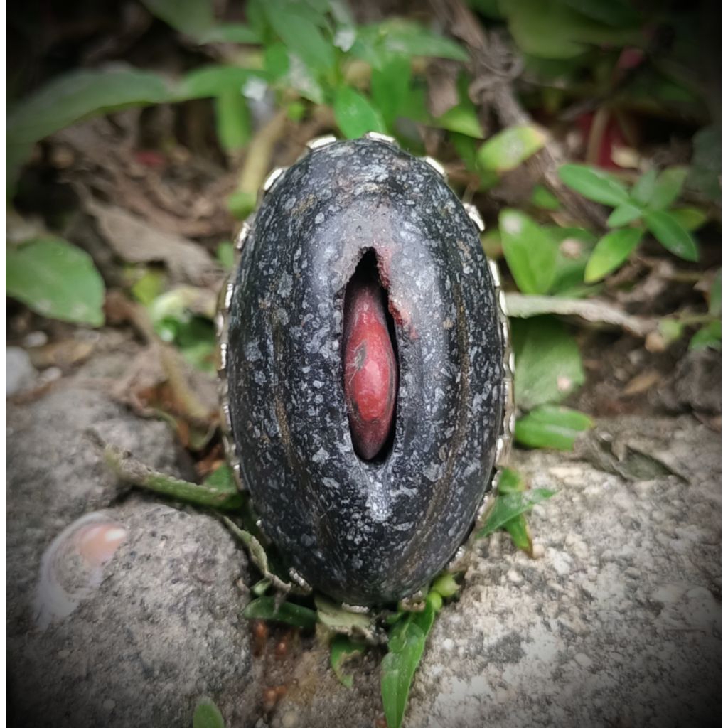 batu akik tundung bawuk