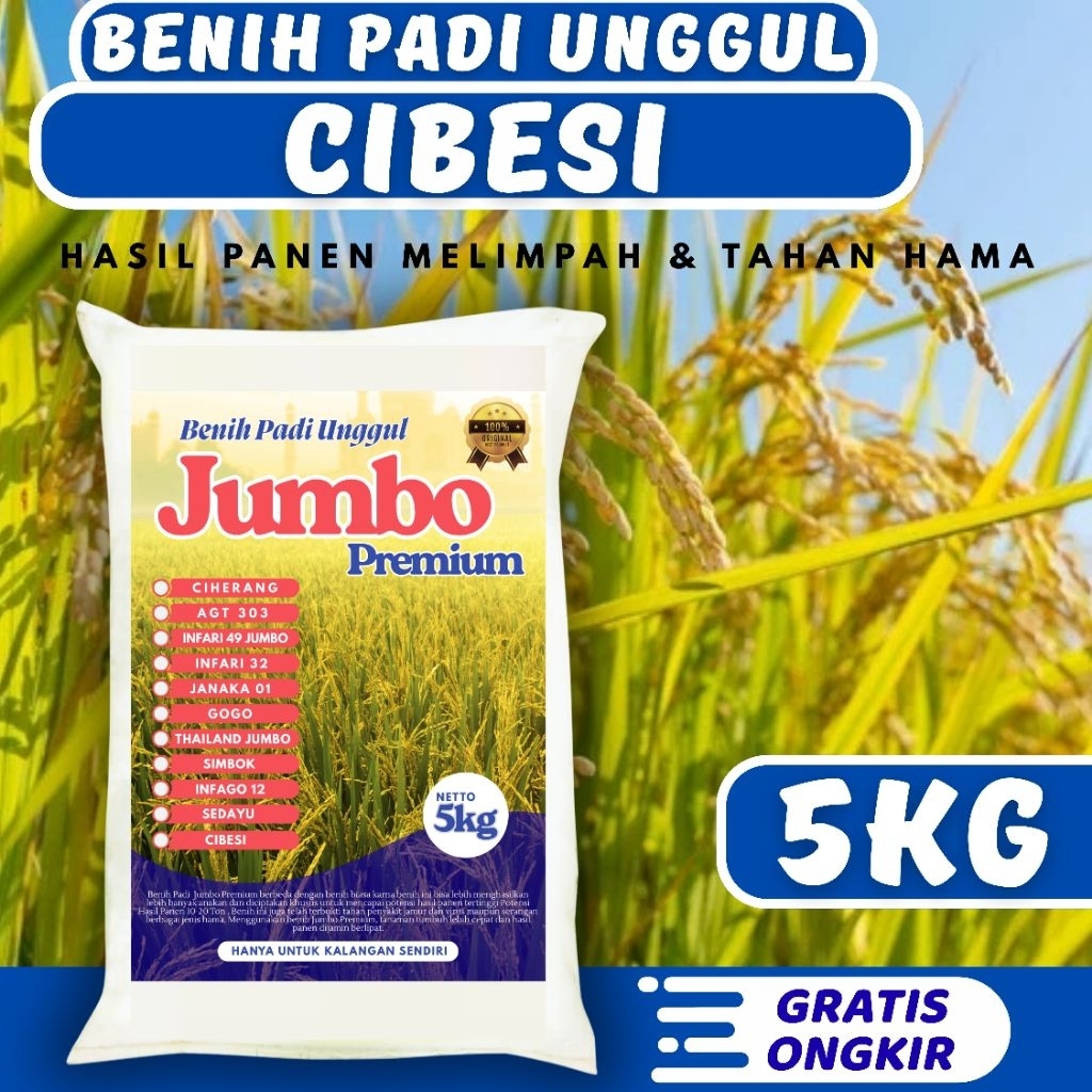 Bibit Padi Unggul Cibesi 5kg