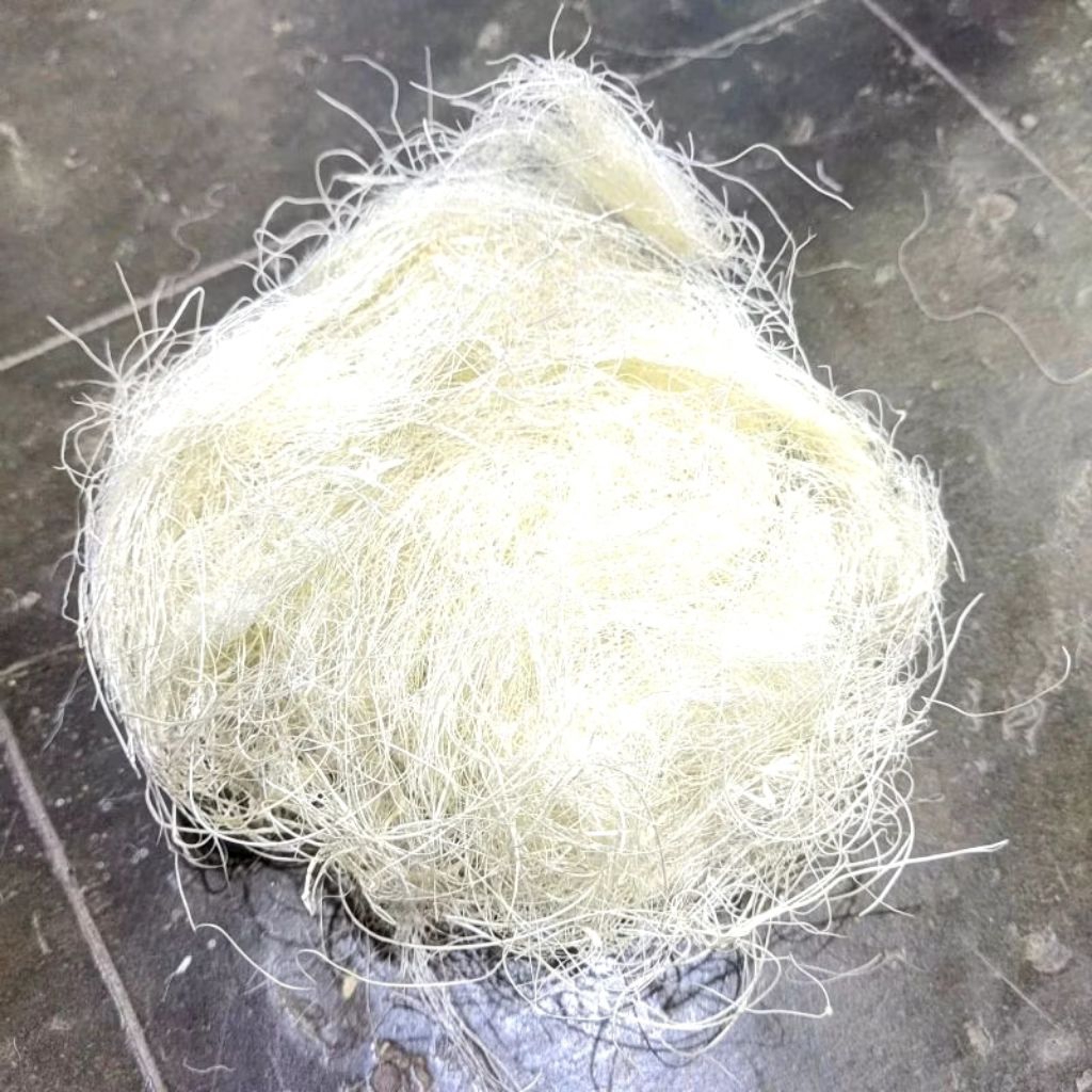 Sarang burung kenari serat nanas/ sarang burung serat nanas