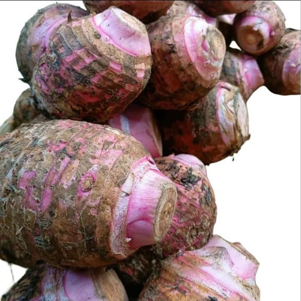 ubi talas keladi 500 gram