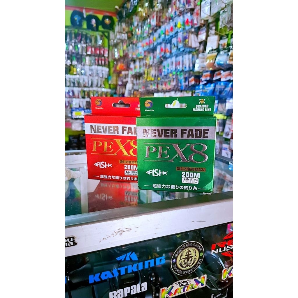 Bingolife Senar PE NEVER FADE 200M