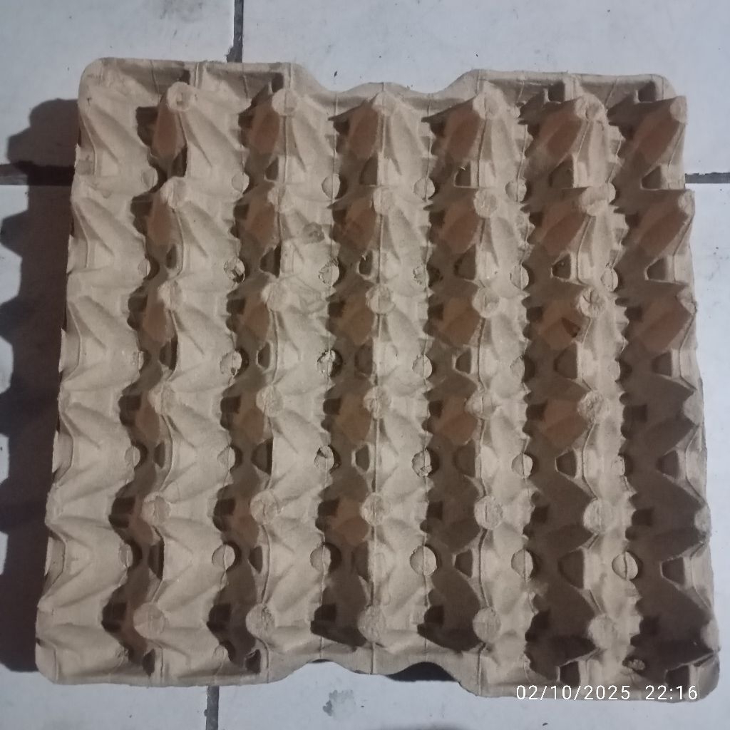 tray telur bekas 03