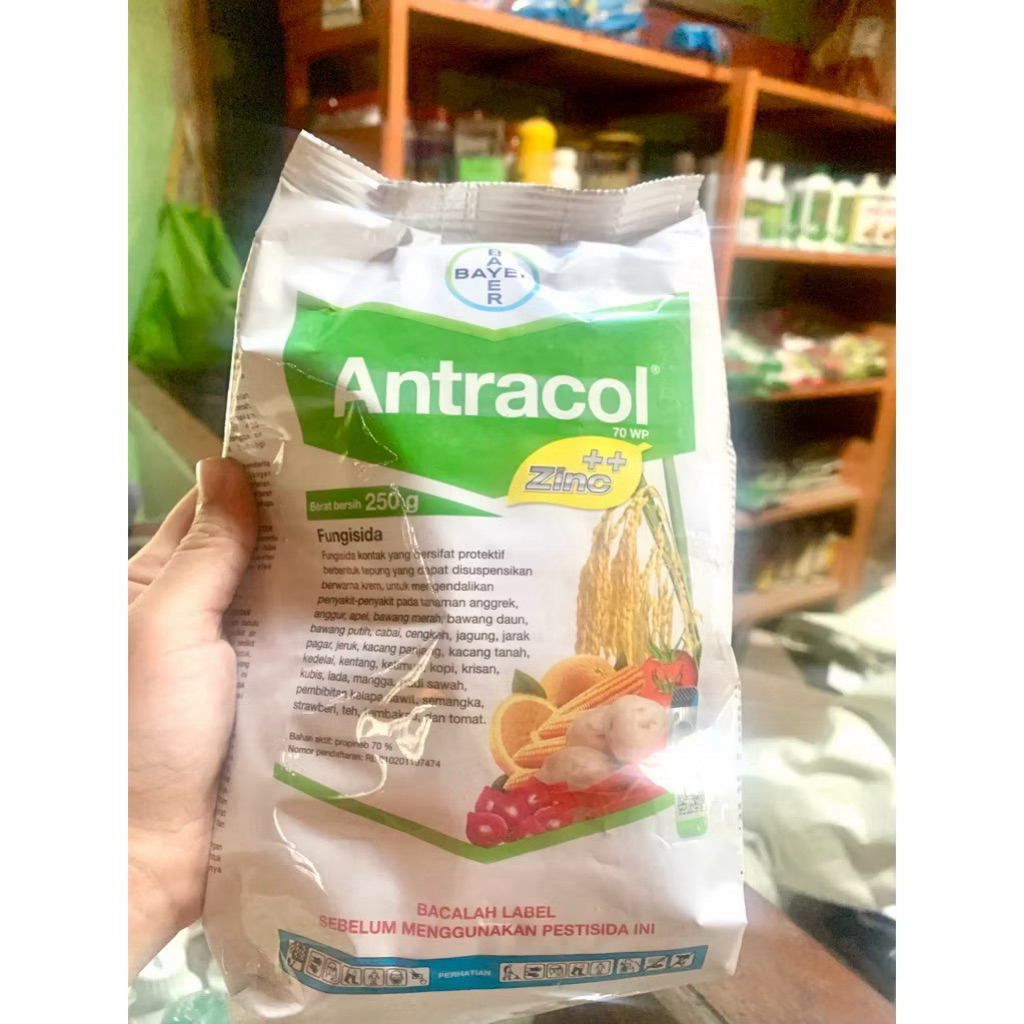 ANTRACOL fungisida 250 gram