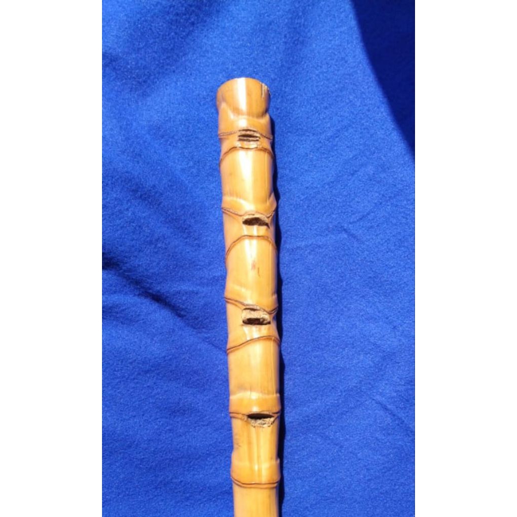 Bambu Petuk panjang 1,5M