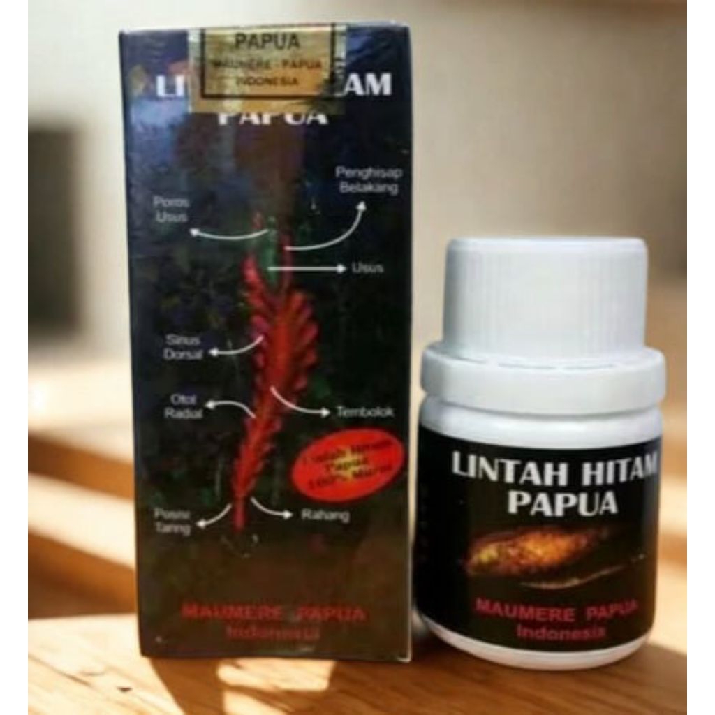 Lintah hitam papua