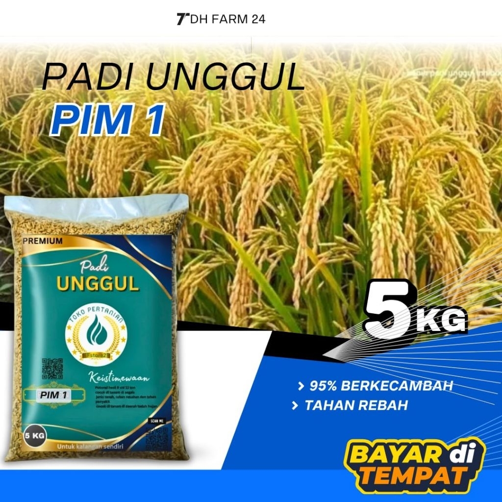BIBIT PADI PIM 1 KEMASAN 5 KG 100%ORIGINAL
