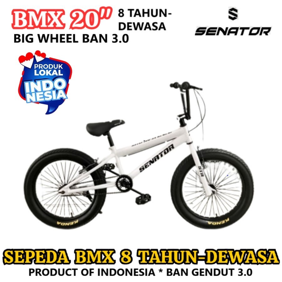 Senator Sepeda BMX Big Wheel 20 Inch Ban Jumbo 3.0 Inch Rangka Steel Rem V-Brake Anak 8 Tahun Dewasa