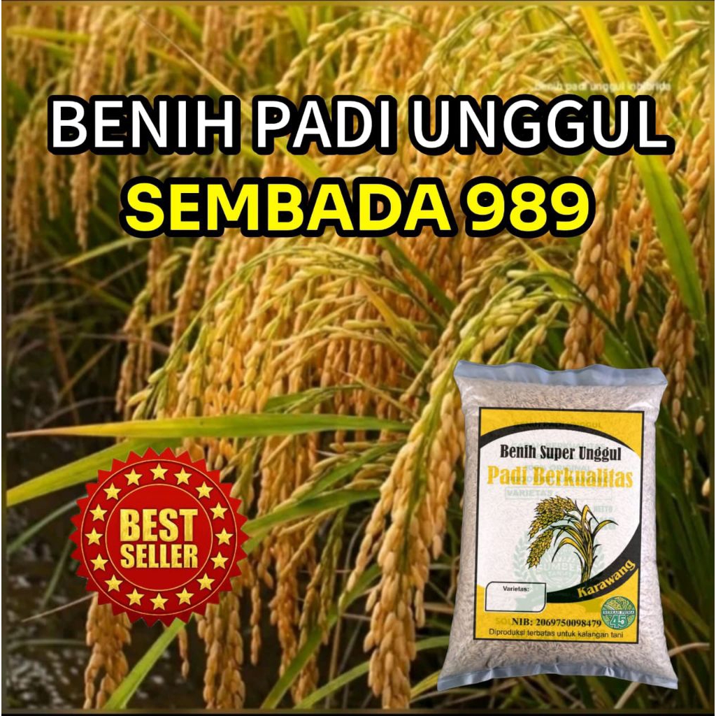 benih padi hibrida sembada 989 original 5kg