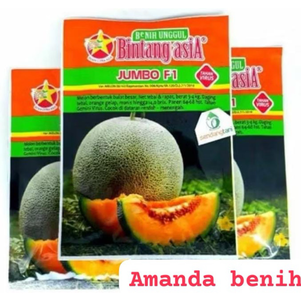 benih MELON JUMBO F1