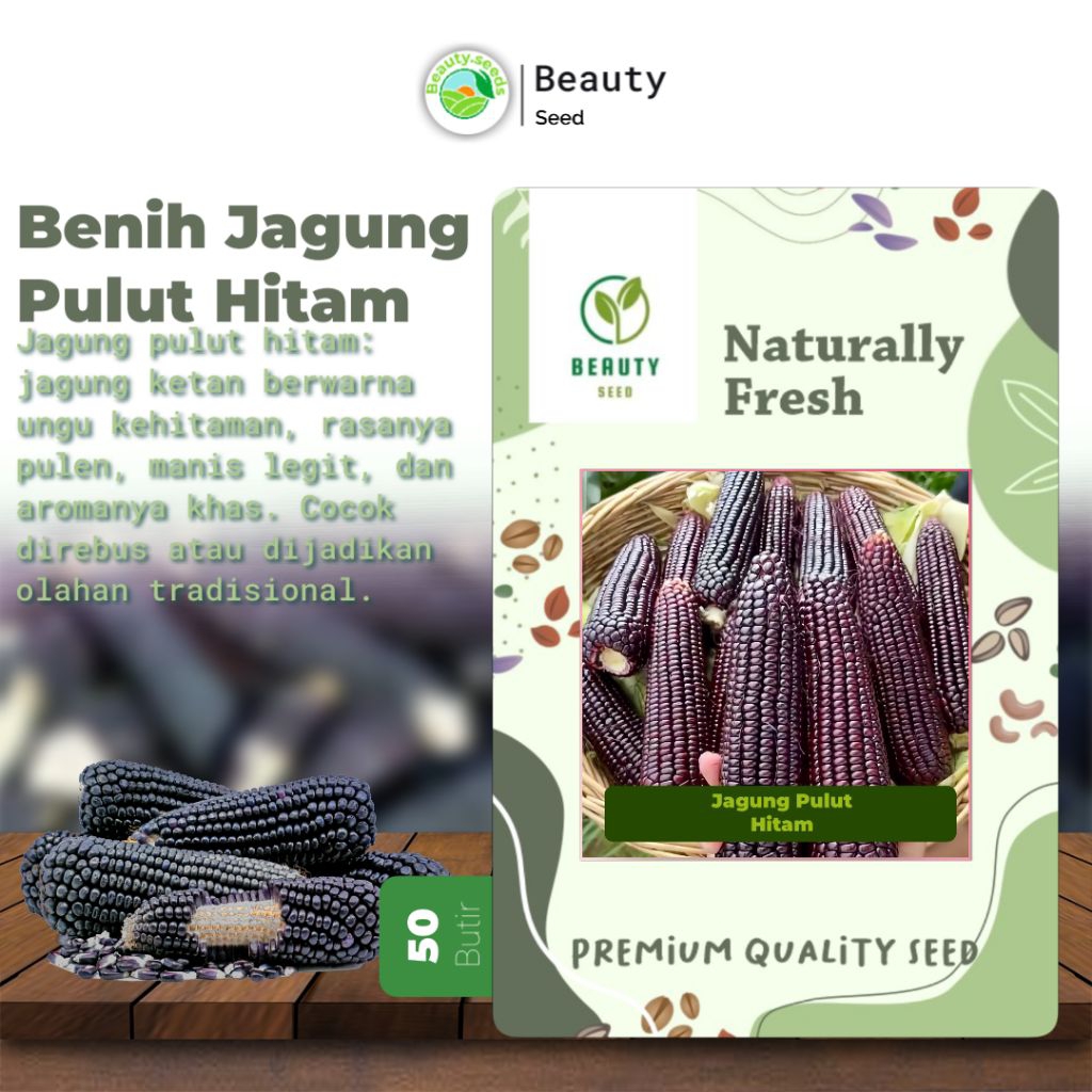 Benih jagung hitam 50 butir - Bibit benih jagung hitam ketan - black corn 50 butir / Jagung pulut hi
