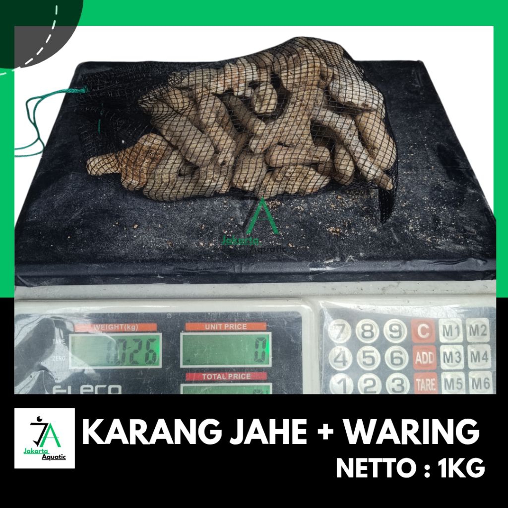 karang jahe plus waring 1kg / karang jahe / karangjahe media filter / media filter aquarium / media 