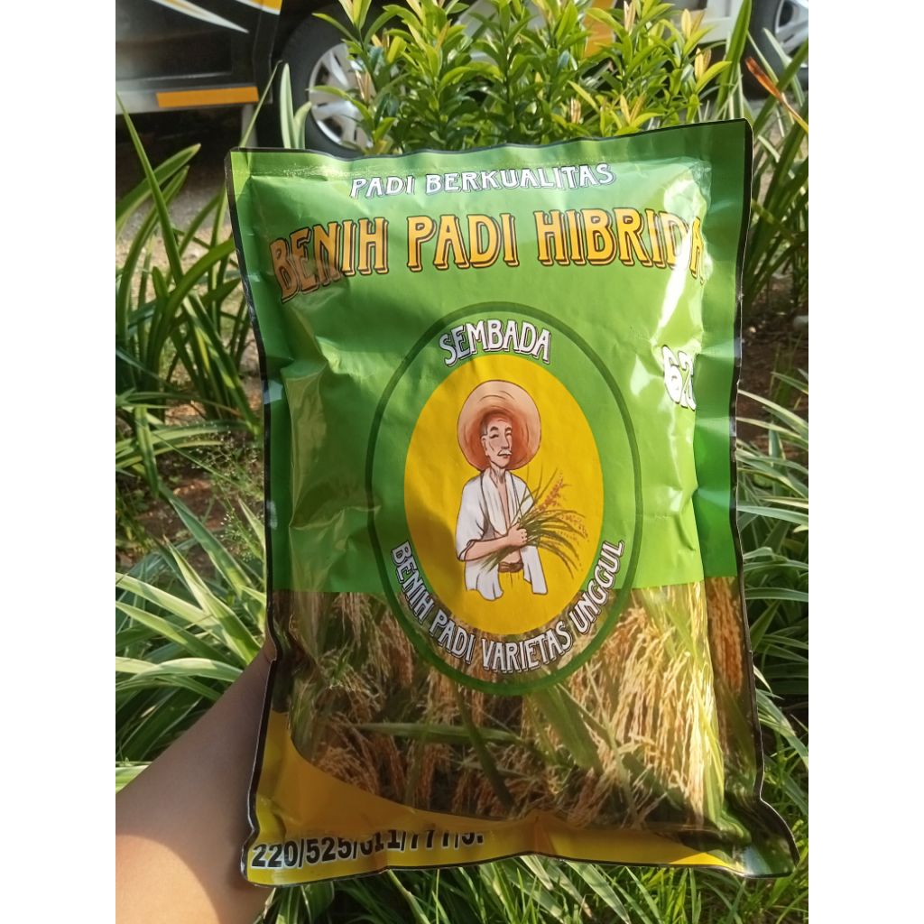 BENIH PADI HIBRIDA SEMBADA 626 1KG Original