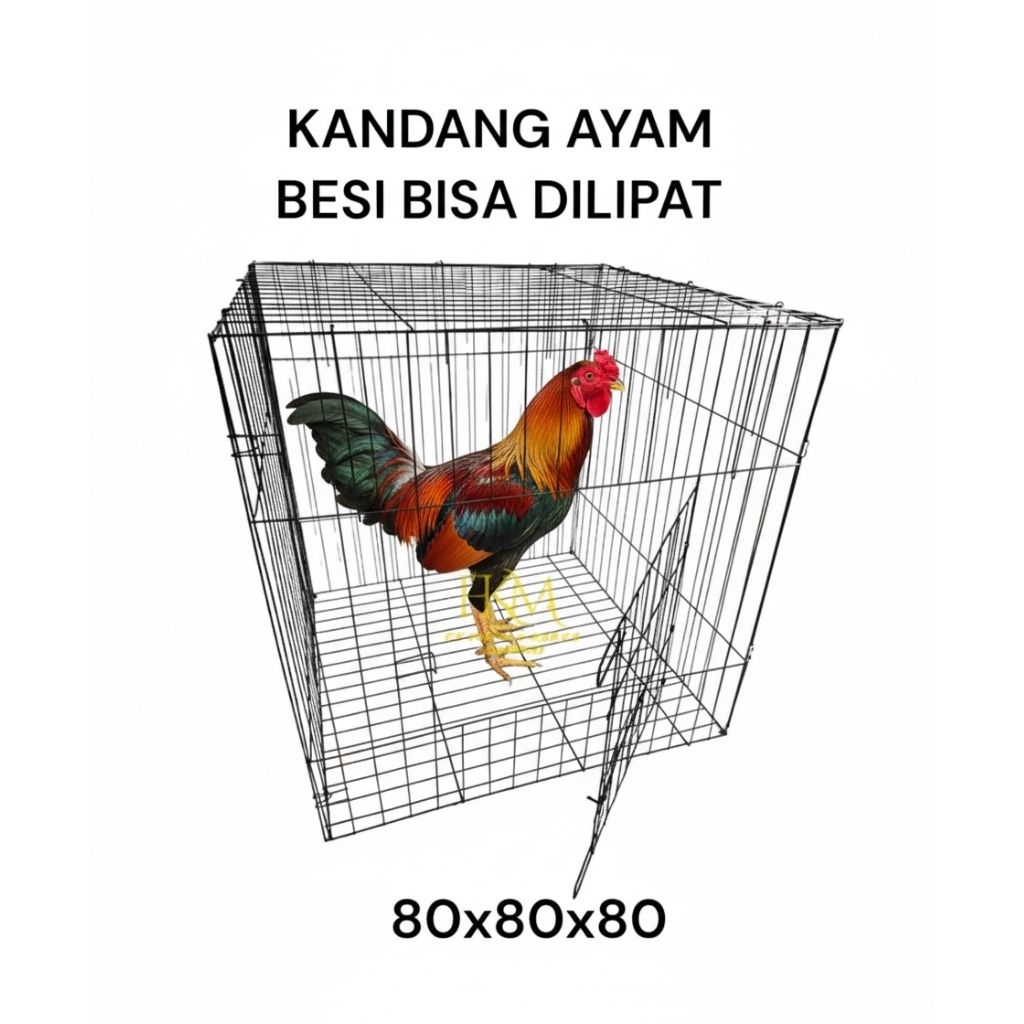 Kandang besi lipat buat ayam bangkok ukuran 80x80x80