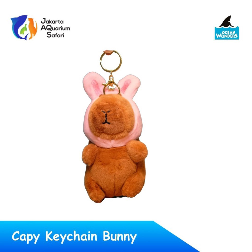 Jakarta Aquarium Safari - Gantungan Kunci Capybara Keychain Collection