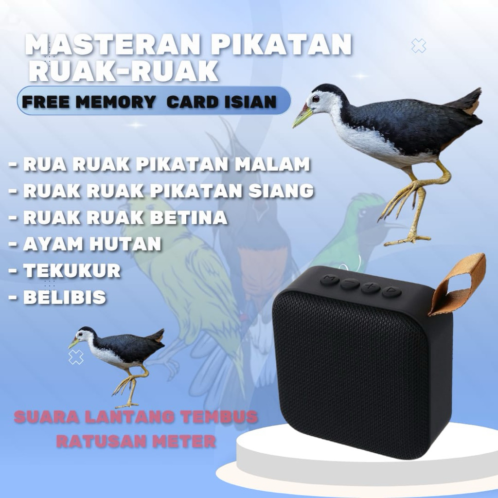 SPEAKER MASTERAN PIKAT BURUNG RUAK RUAK DENGAN MP3