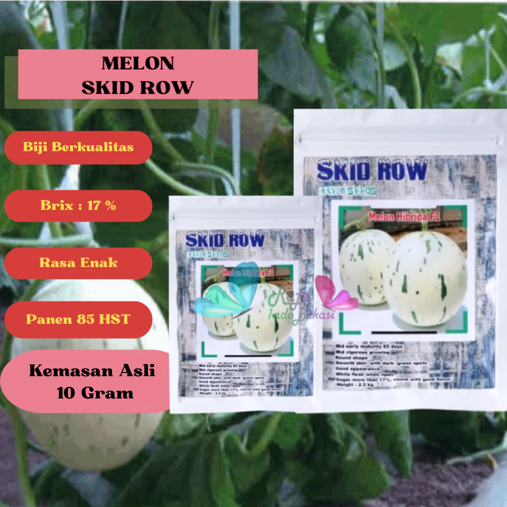 ORI BENIH F1 Melon SKID ROW 10 GRAM Biji Melon Ekslusif Bibit Melon Premium Renyah Bulat Lonjong Mel