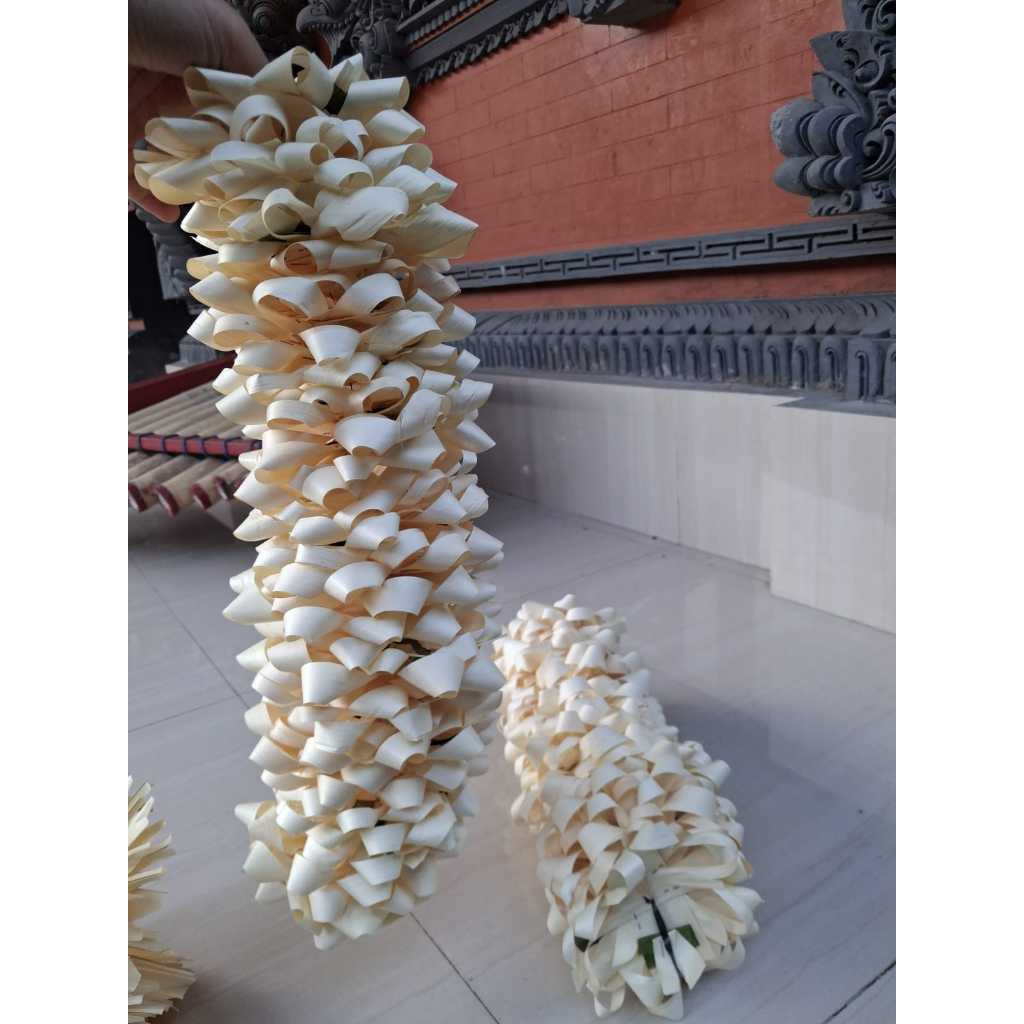 promo galungan canang busung ibung 50 pcs