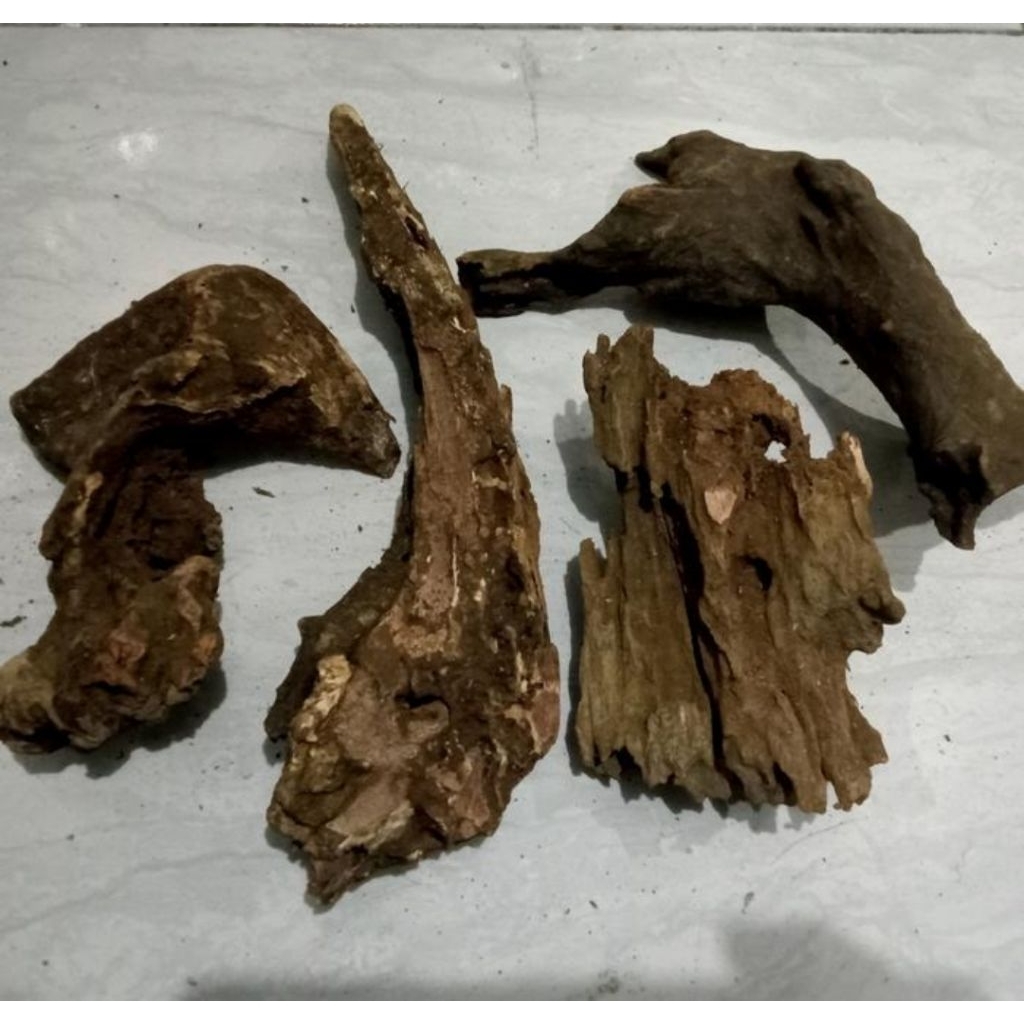 kayu rentek aquascape size S