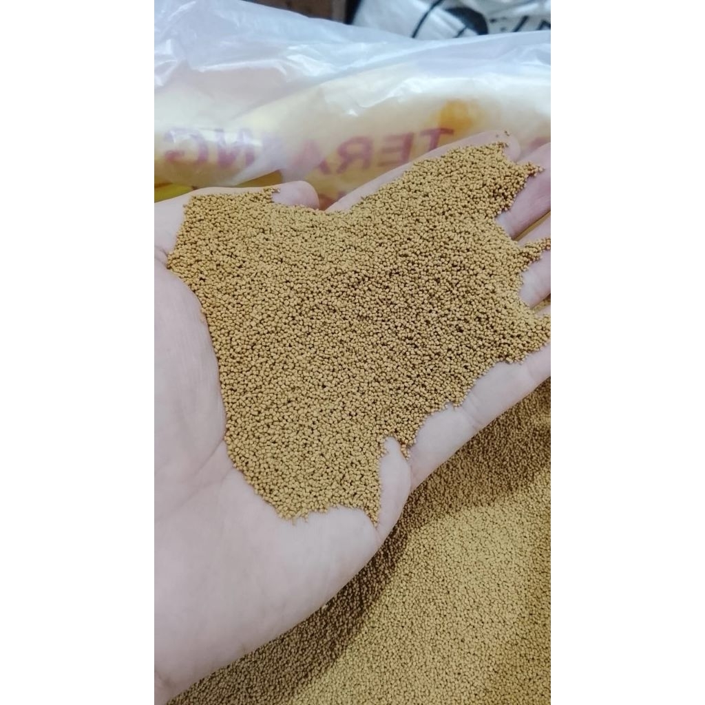 PELET IKAN GURAME, LELE, NILA, PATEN // SINTA TP 50