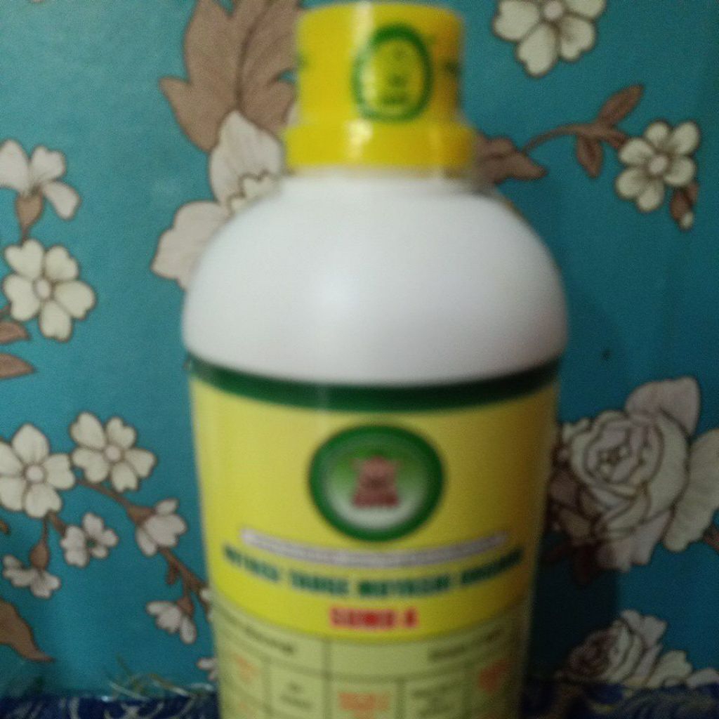 Obat tauge pupuk organik nutrisi sumo 8 A