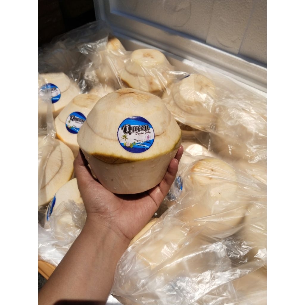 Degan jelly queen size sedang