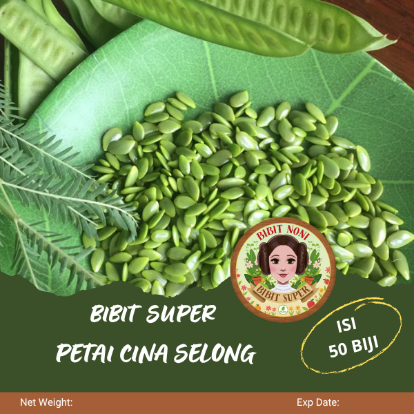 Bibit Super Petai Cina Selong | Bibit Petai Cina Selong
